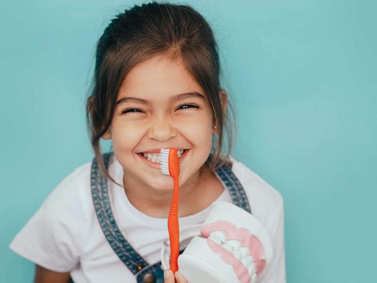 A smiling girl with a toothbrush and tooth model